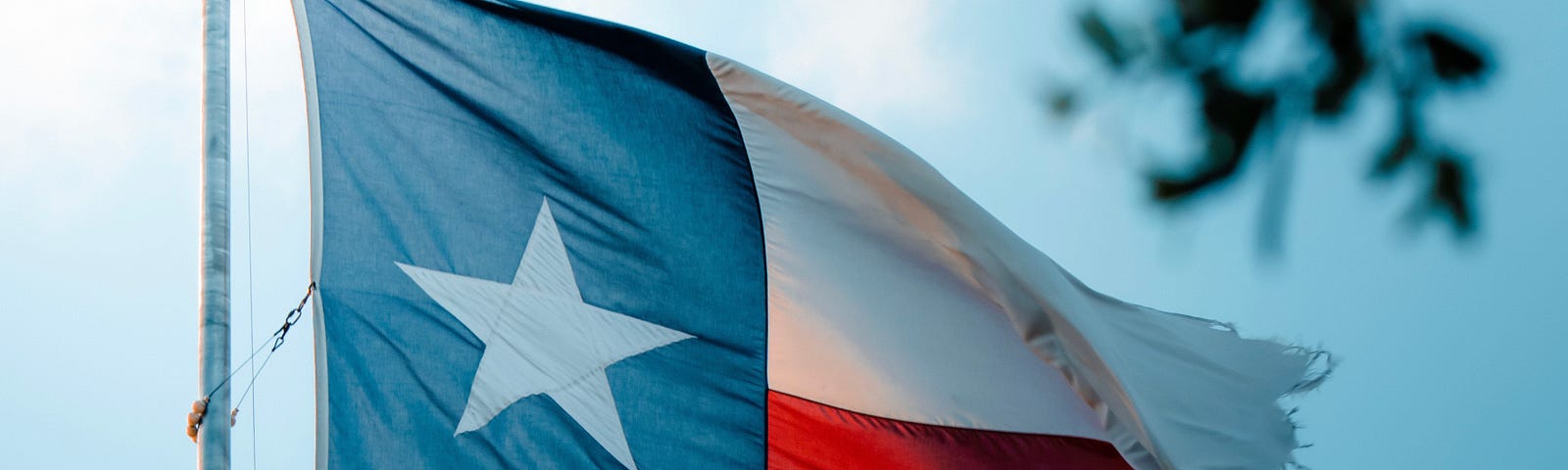 Ragged Texas State Flag