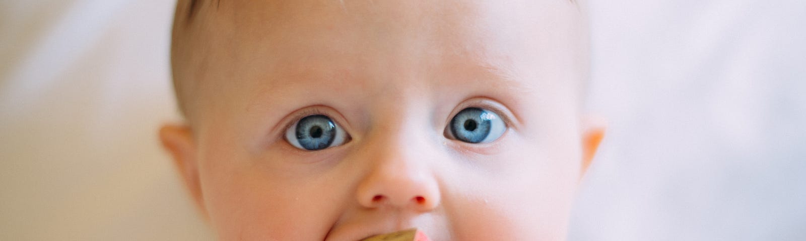 A baby staring into the camera while pushing a wooden block into its mouth