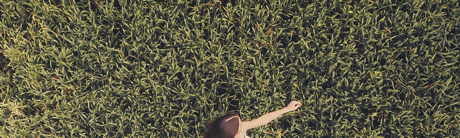 top-down view of girl twirling on grass