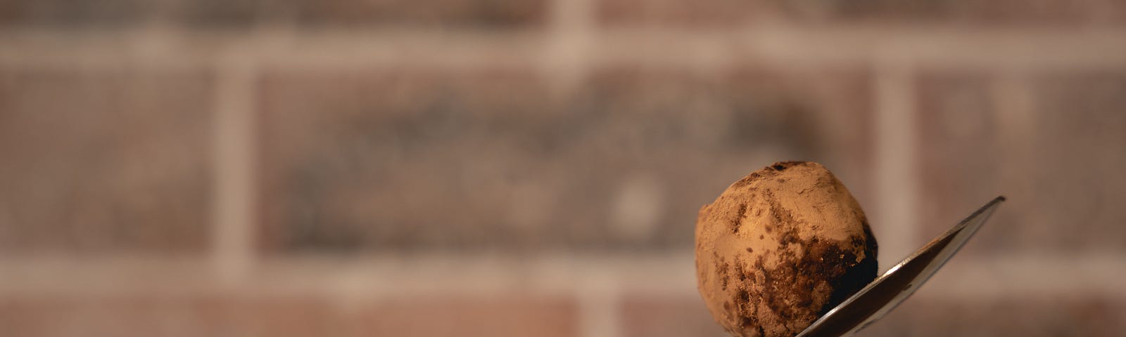 A spoon extends diagonally as it is perched on a dark round truffle. On top of the spoon is a light brown truffle. Brick wall in the background.