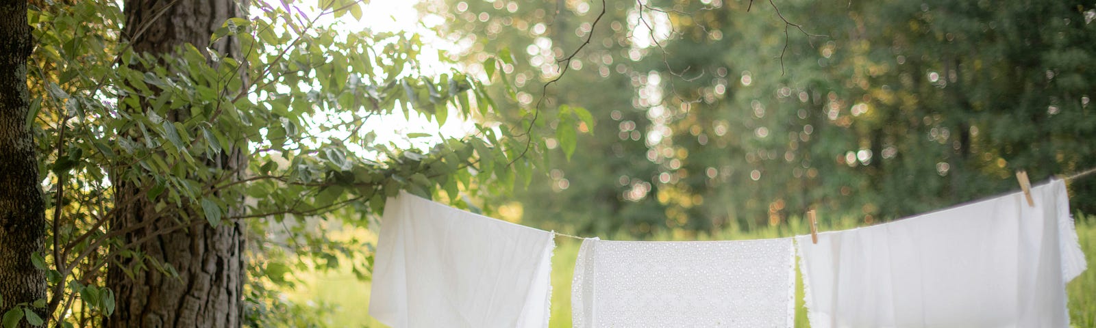 clothes hanging on the clothesline