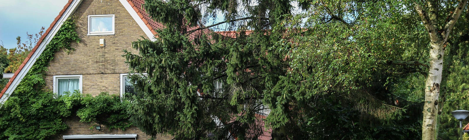 A two-story house with a steeply pitched roof, partially covered in ivy. The house is surrounded by lush greenery, including tall pine trees and a well-maintained hedge. A tree stands prominently in the foreground on the right side, and the house is situated on a corner lot, as indicated by the street running in front. The scene is peaceful and suburban, with a lamppost visible on the right side near the tree.