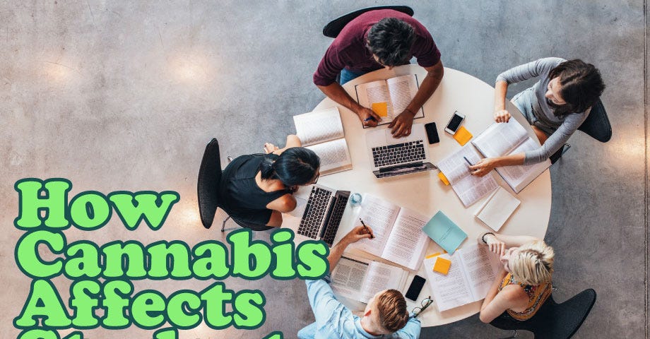 How cannabis affects students with students studying outside by Hotgrass