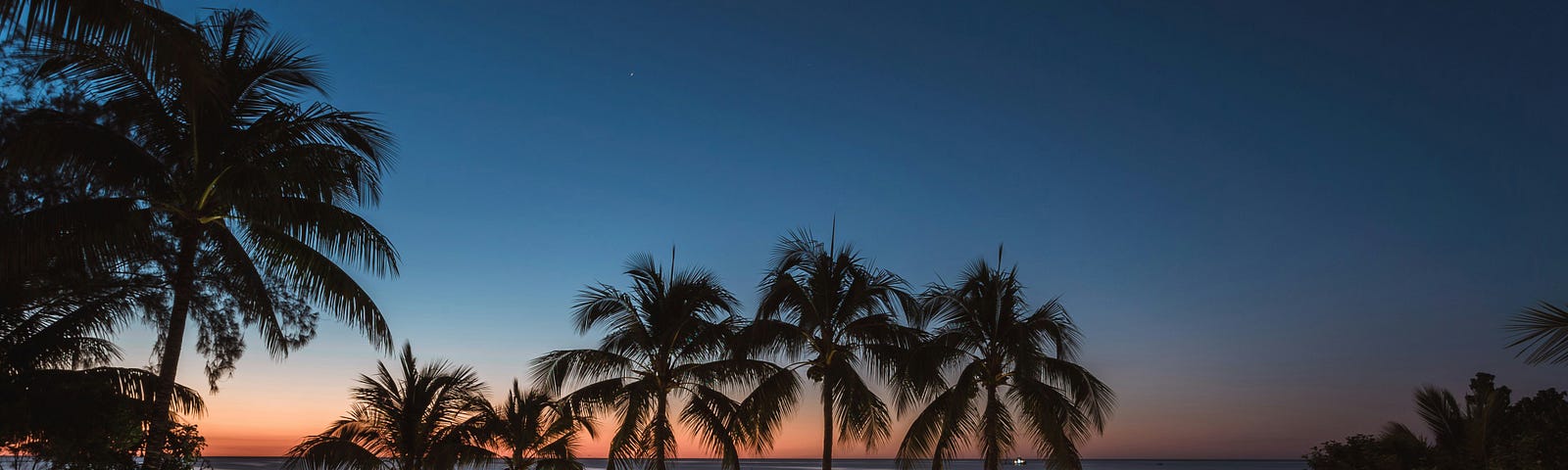 Pool, at night, surrounded by palm trees.