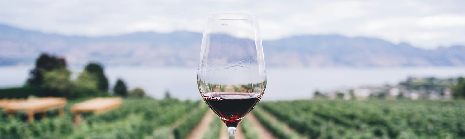 Glass of wine with vineyard in the background