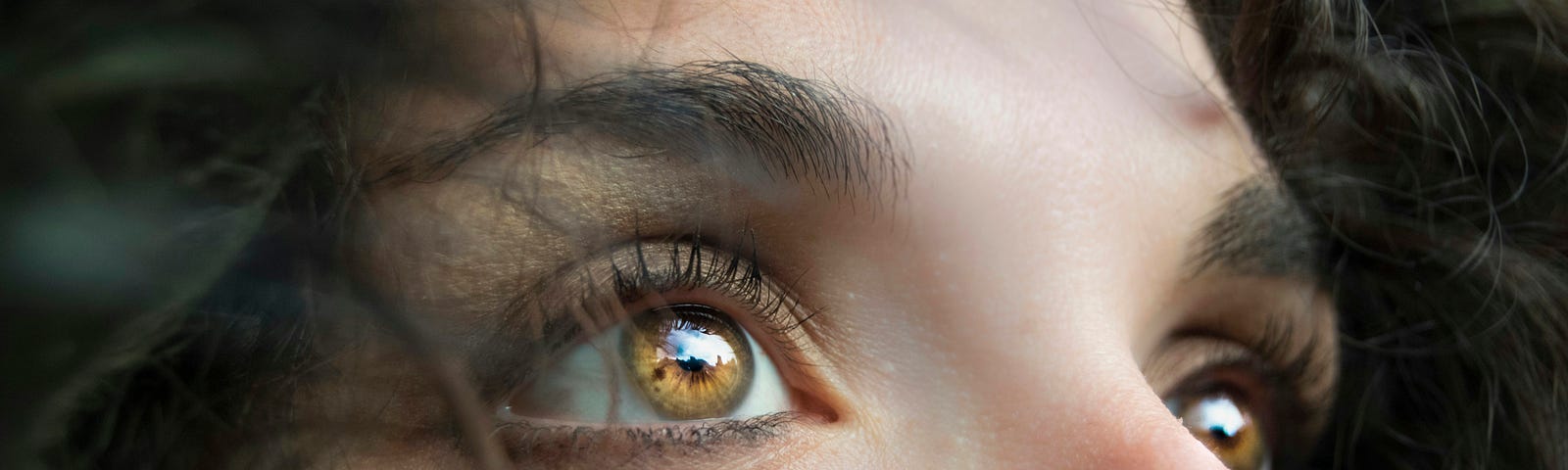 Close-up of human eyes