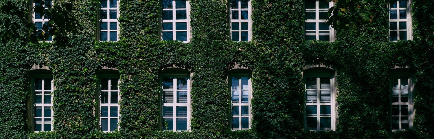 8 Ivies, 8 Personalities: Here are the differences of the eight Ivy League universities to keep in mind with your applications. — The Ivy Institute