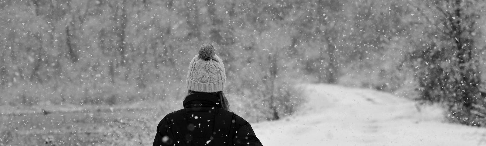 back of person walking into snow-covered woods