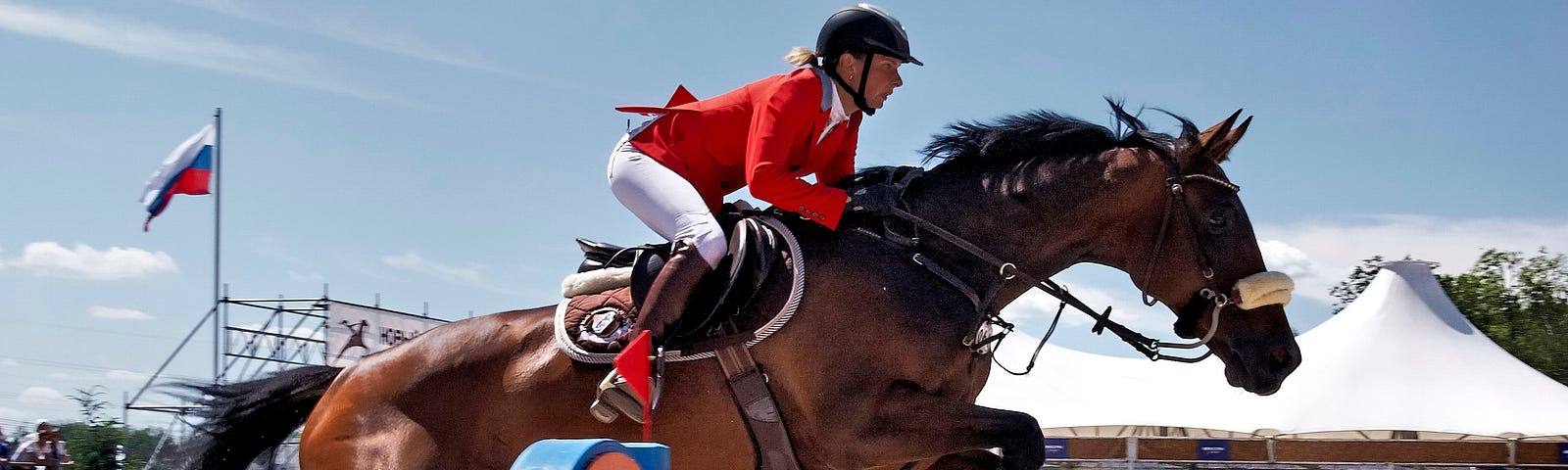 A man riding on Horse’s back showing equestrian skills