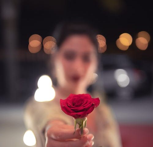 Mixed focus of a woman in blurred background holding a rose. Focus is on the rose only.