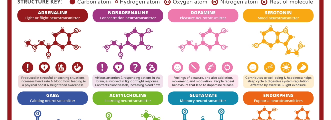 Table of Neurotransmitters