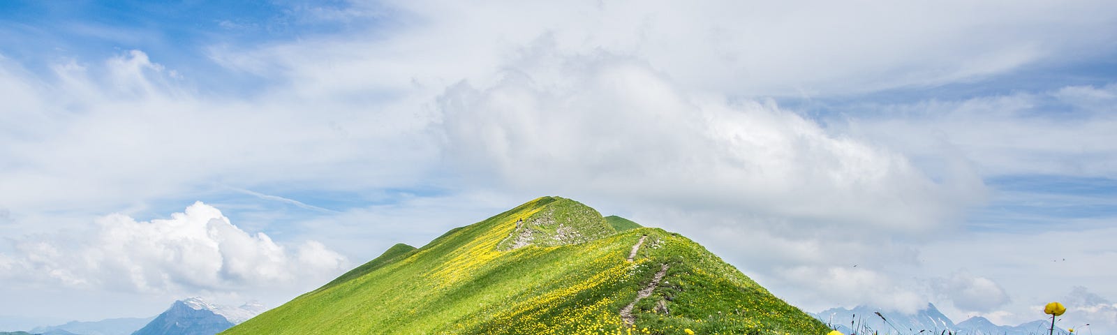 The gentle crest of a meadowed Alpine hillside