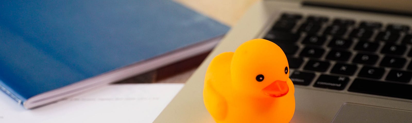 A rubber duck on a laptop
