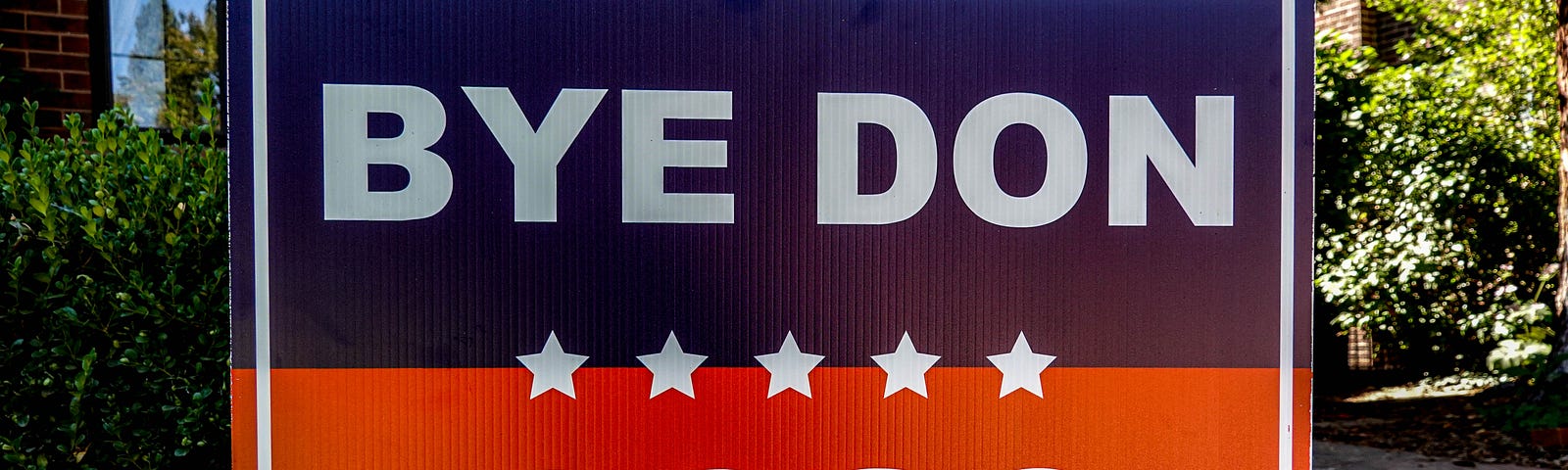 Yard sign that says “Bye Don 2020.”