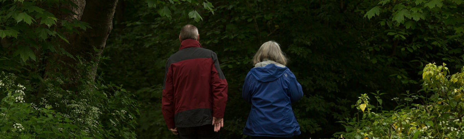 An older couple with their white dog walking away down a wooded pathway.