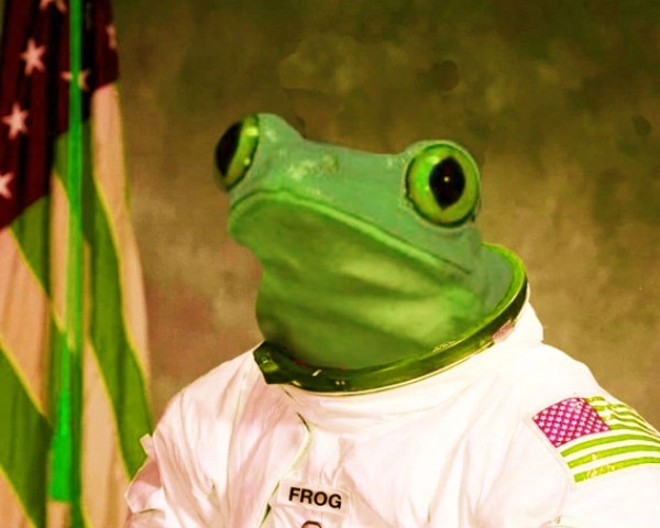 a proud space frog, very valuable jpg and honorary Gyroscope user