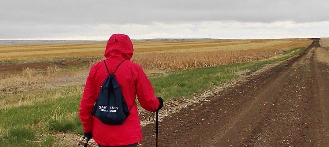 photo of person walking down a dirt path with a red jacket, black backpack, and walking sticks