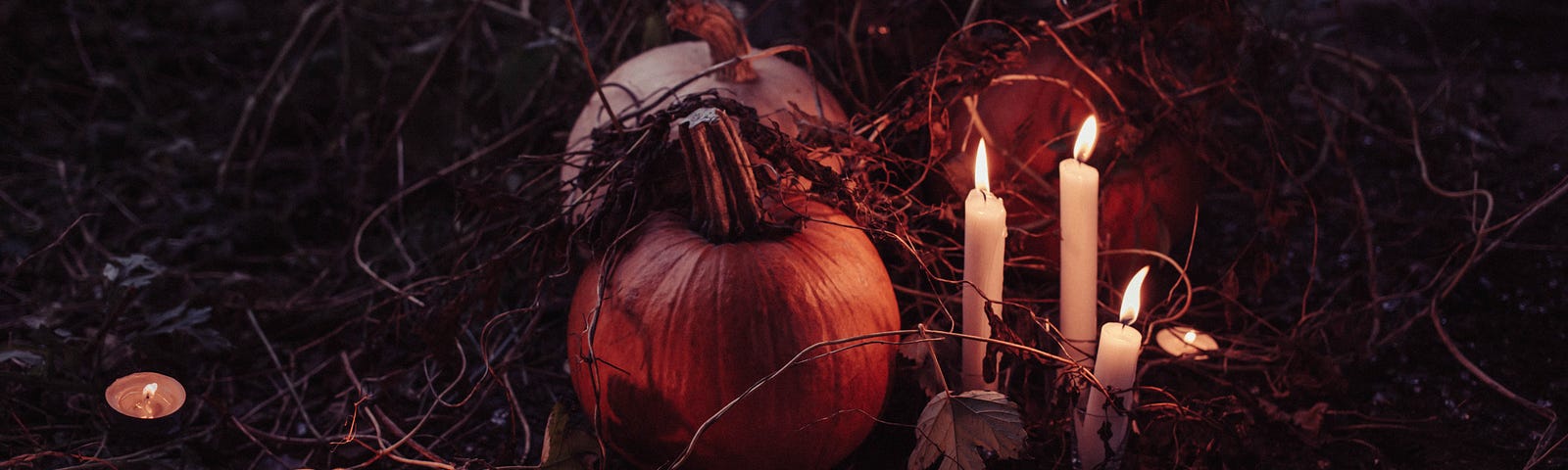 Pumpkins aglow by candlelight in a thorny underbrush.