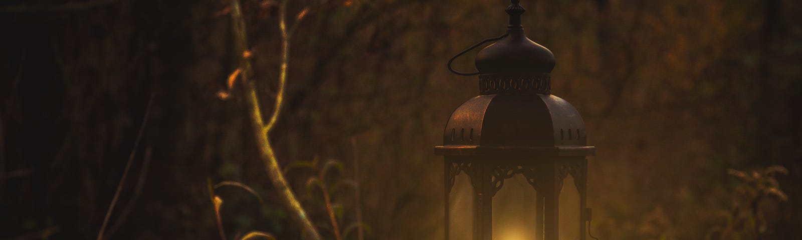 a lantern outside a house in a forest