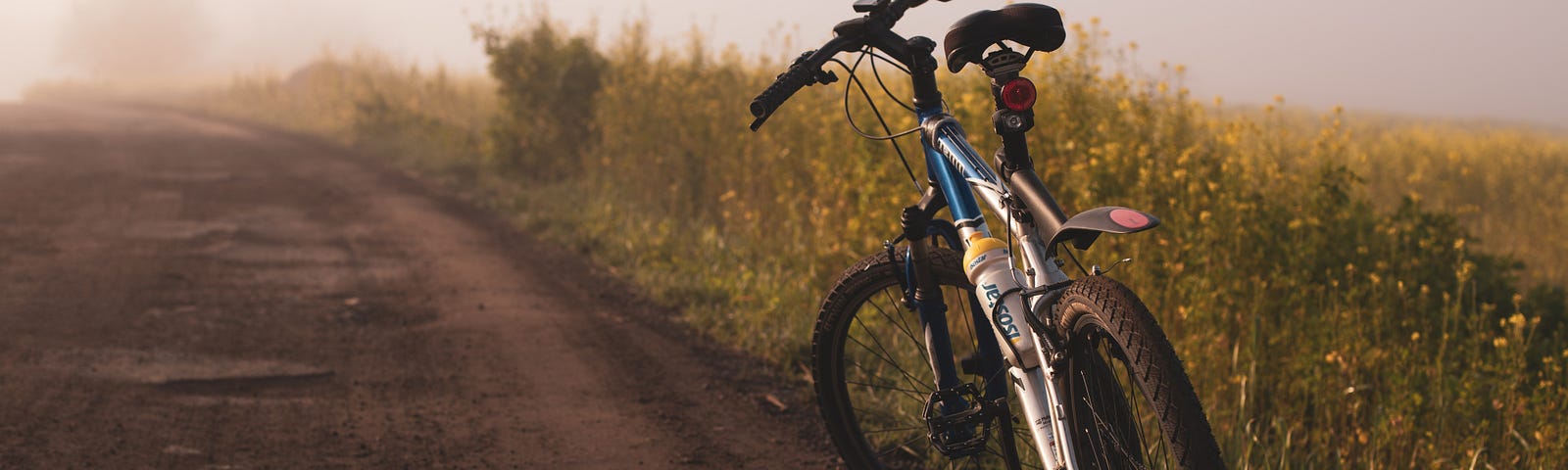 Bicycle stopped on a dirt road with a field on the right