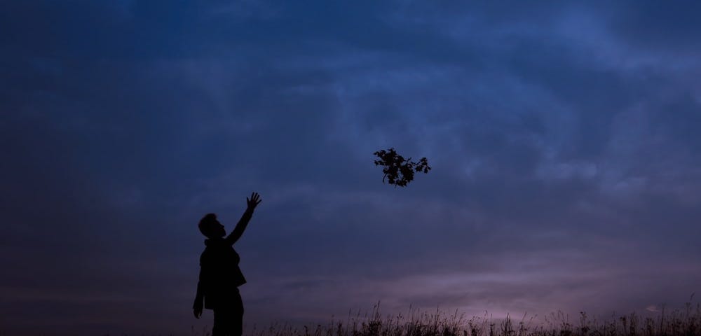 person throwing leaves into the sky