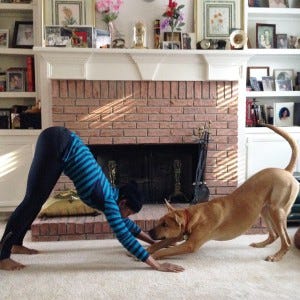 Базовые позы хатха йоги: собака мордой вниз