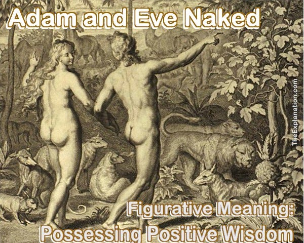 Adam and Eve naked from 1728 Figures de la Bible. At this juncture, in the Genesis story both of them had POSITIVE wisdom.