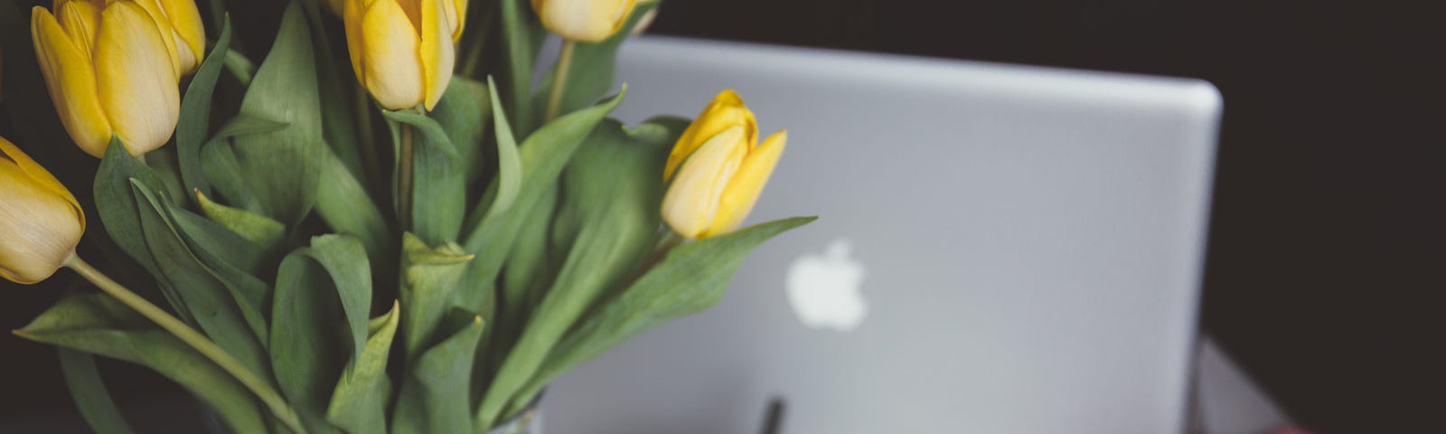 Yellow tulips on desk, next to laptop, mobile phone and coffee cup