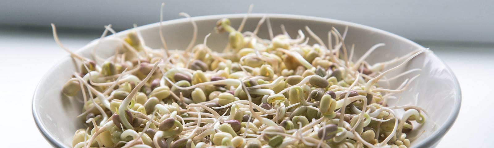 A bowl of sprouts sits on a white surfacea