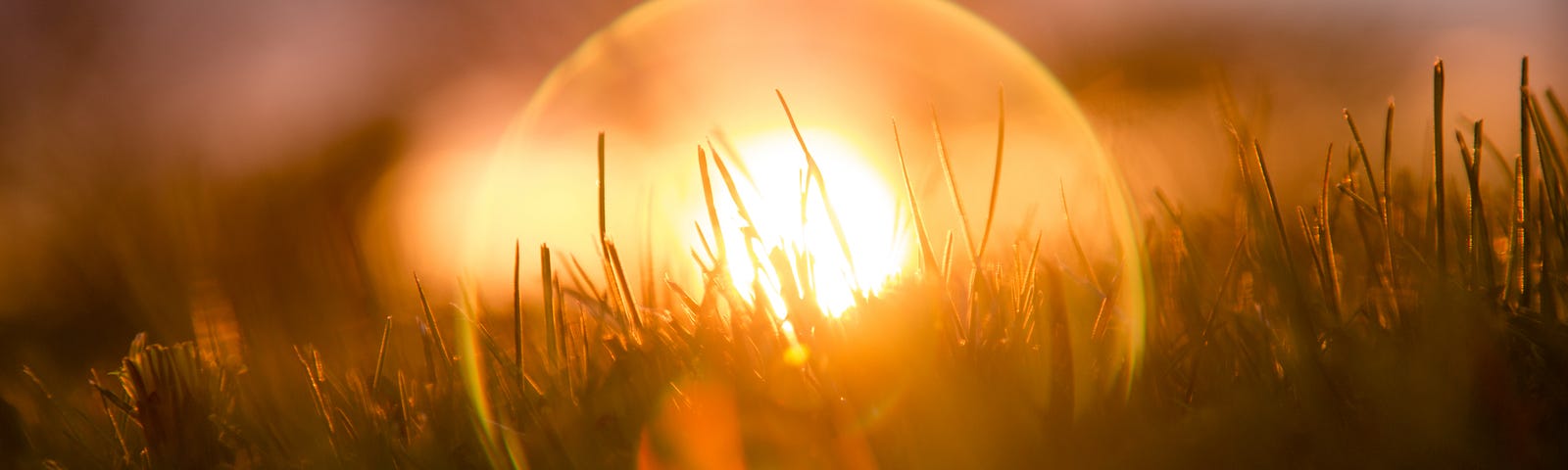 Clear globe on grass at sunset