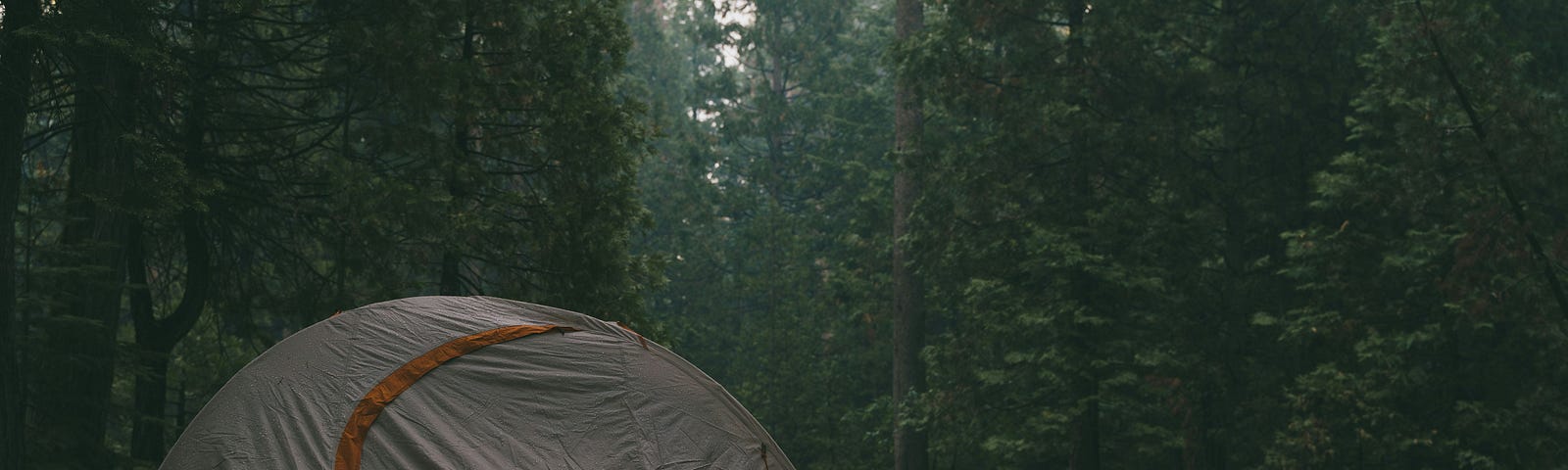 A tent in the woods