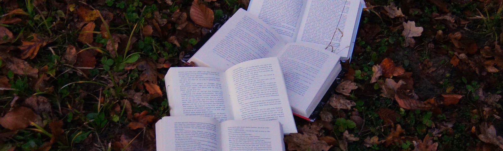 A line of open books laid out in a field, like a road.