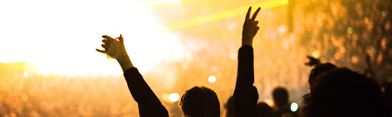 Silhouette of someone cheering at large concert