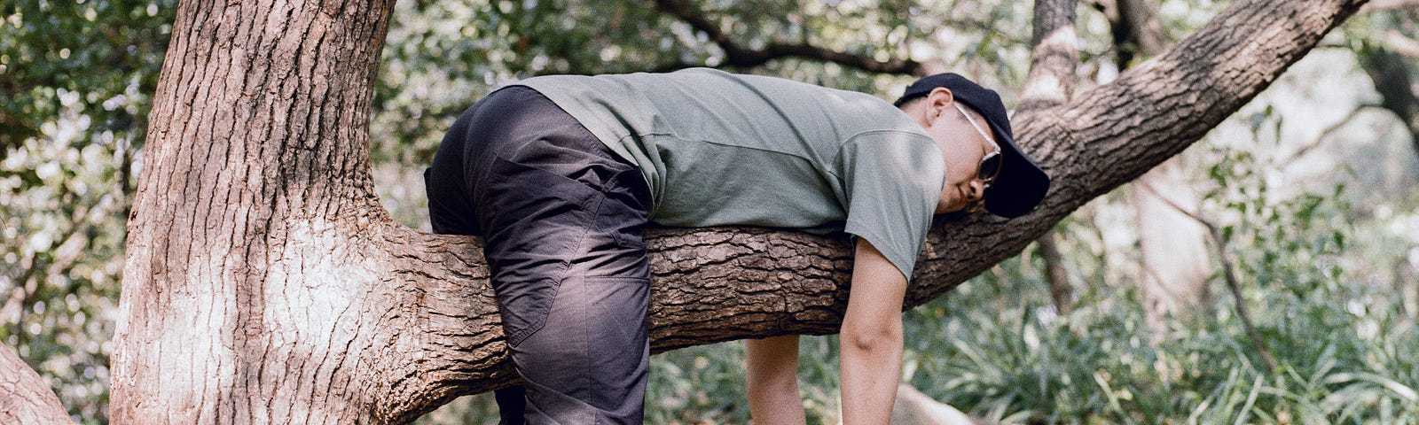 A busy man procrastinates by lying face-down on a tree branch