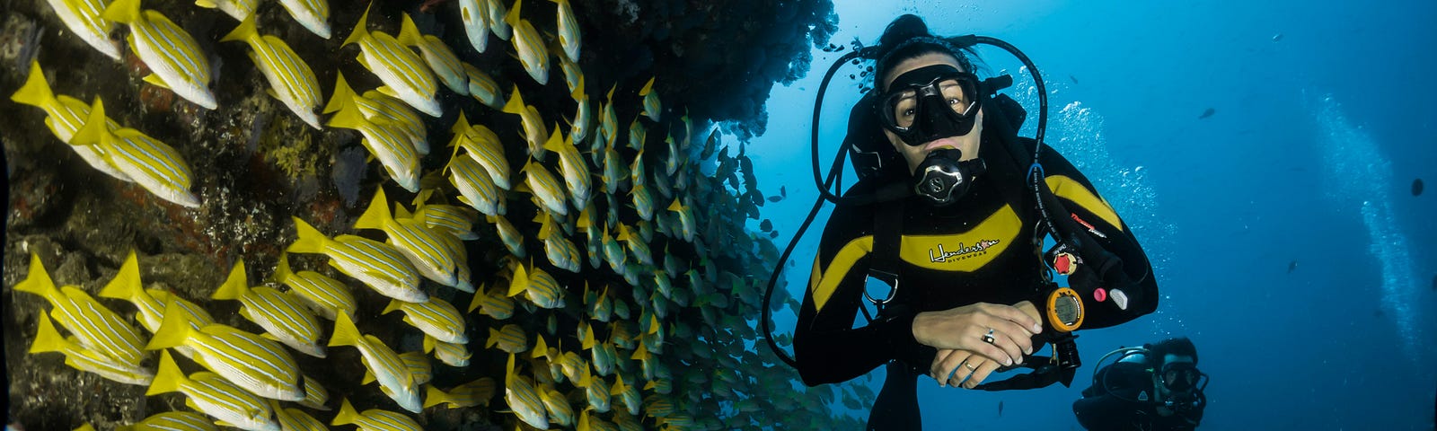 Two people Scuba Diving through a school of fish.