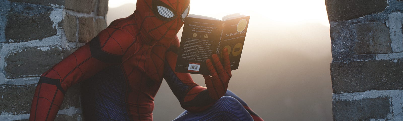 The image is that of superhero, spider man, sitting on wall reading a book.