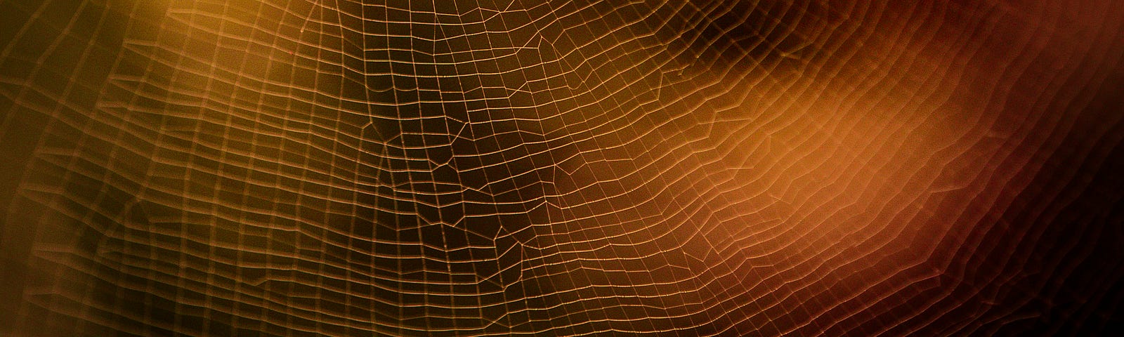 close-up shot of gold-tinted spider web