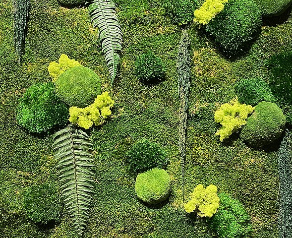 A picture with two types of green leaves, a green moss background, yellow green moss tucked next to a light green and darker green moss where most of the shapes are round.