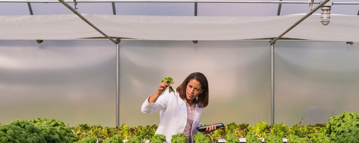 An individual inside a greenhouse.