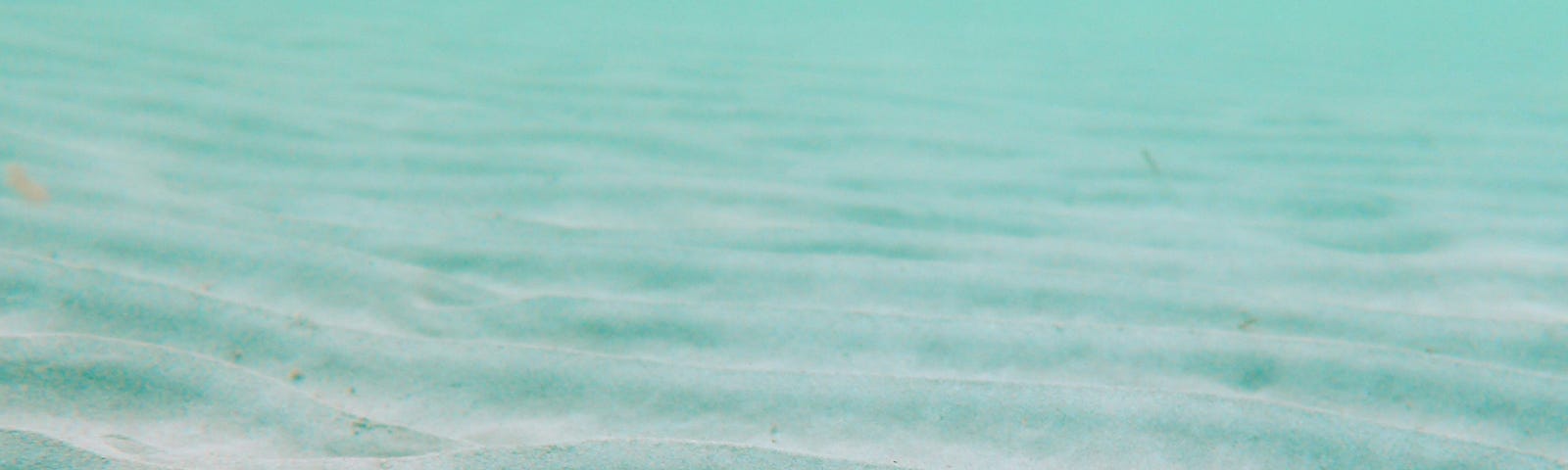 Starfish on a Rippled sea floor, pale turquoise water.