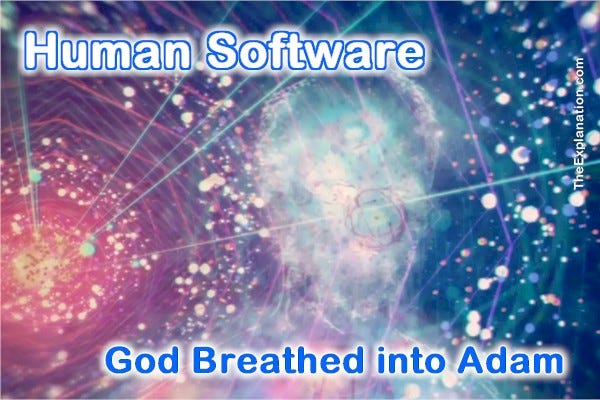 Human software. God breathed neshama into Adam’s nostrils. This transformed dust into a human being.
