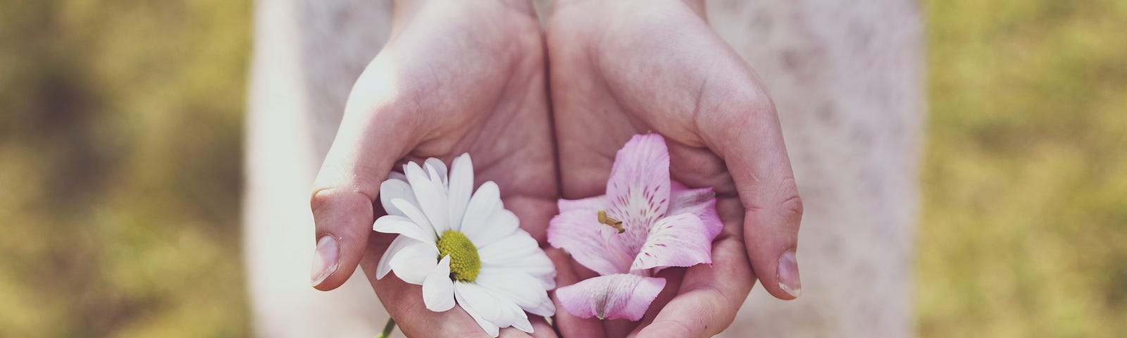 A young woman’s hands holding a couple of flowres