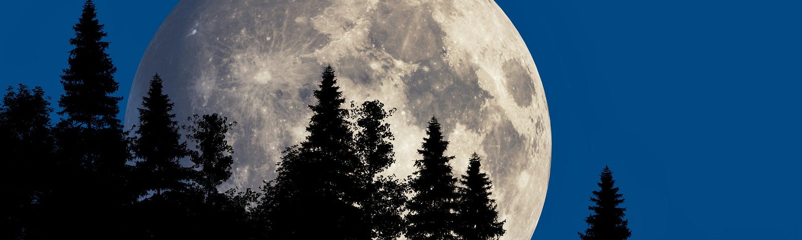 Big supermoon over the pines.