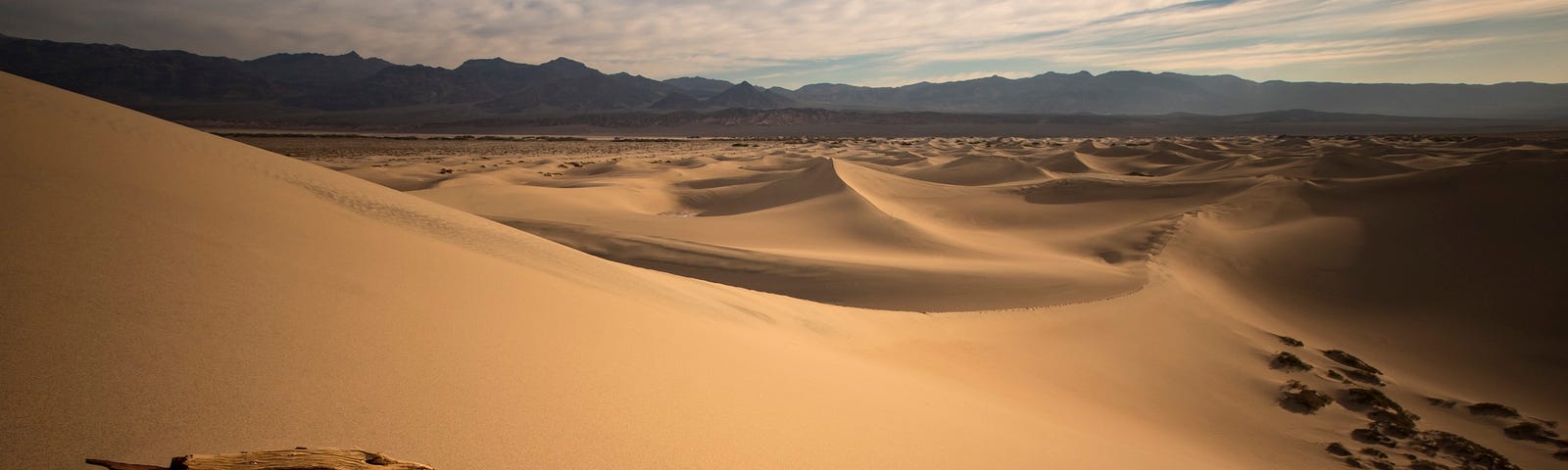 desert — Photo by Stephen Leonardi on Unsplash