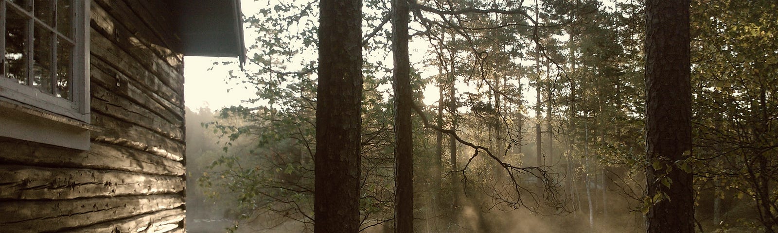 The edge of a wooden cabin, trees beyond