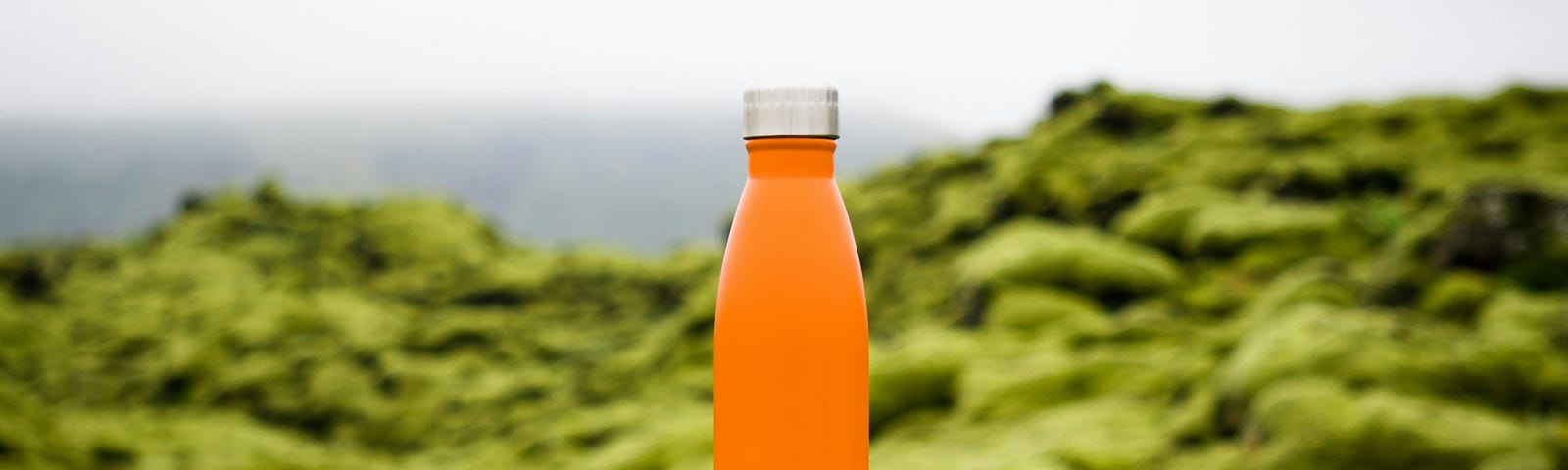 A sports drink sits on a moss-covered rock.