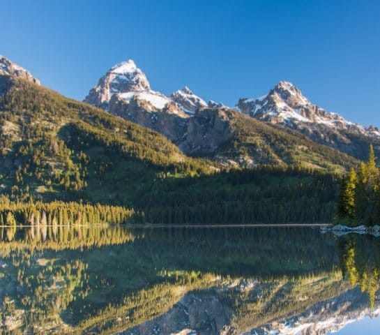 The Best View In Grand Teton National Park - A view of a mountain