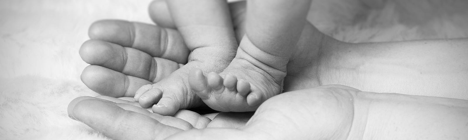 Baby feet in parent’s hands.