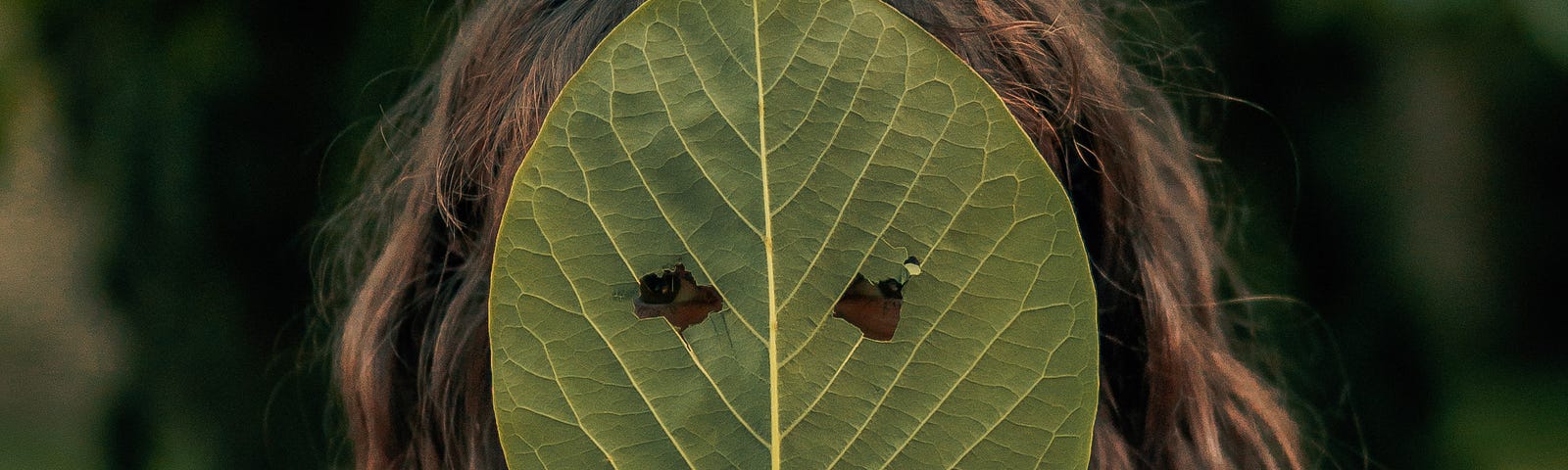 girl hiding her face behind a leaf