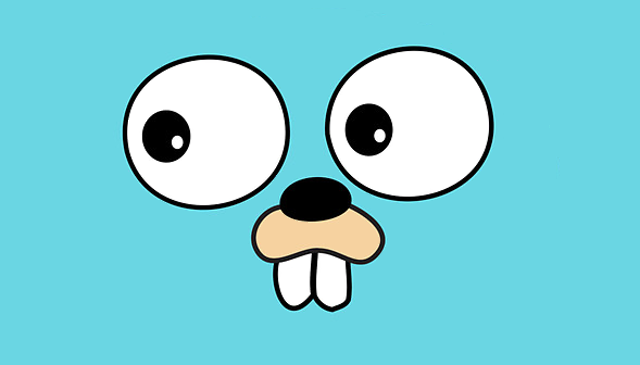 A Zoomed in picture of the Golang gopher